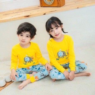 Kids and Teens Cotton Pajama Long Sleeve Sets for Girls and Boys Unisex Animals Penguin Calf Elephant