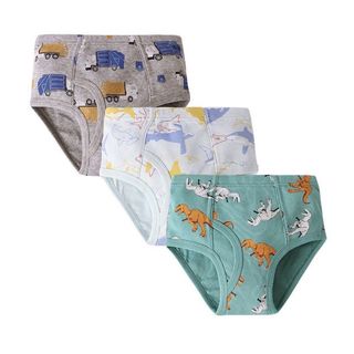 Boys Underwear Brief 3pc/pck